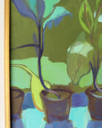 CABBAGE PLANTS