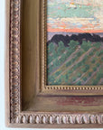 VINEYARD AT SUNSET