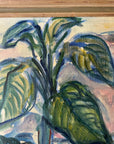 PLANT POTS