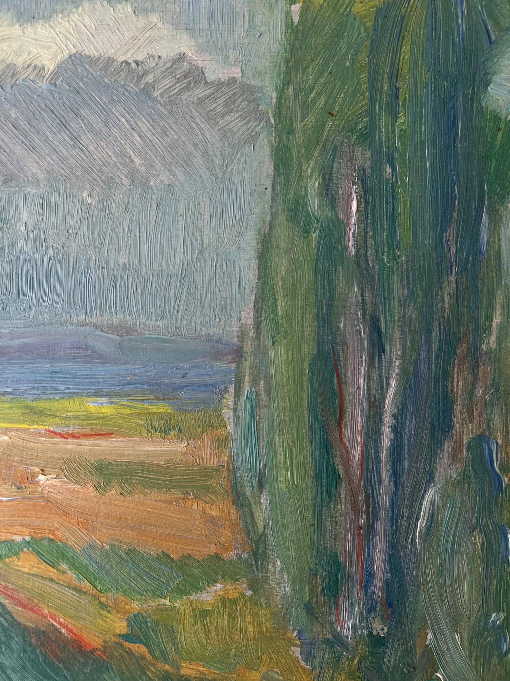 SUMMER LANDSCAPE