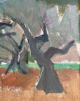 OLIVE & PINE TREES