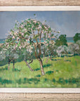 BLOSSOM TREE
