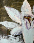 WATER LILIES