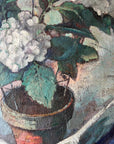BLUE & WHITE HYDRANGEAS