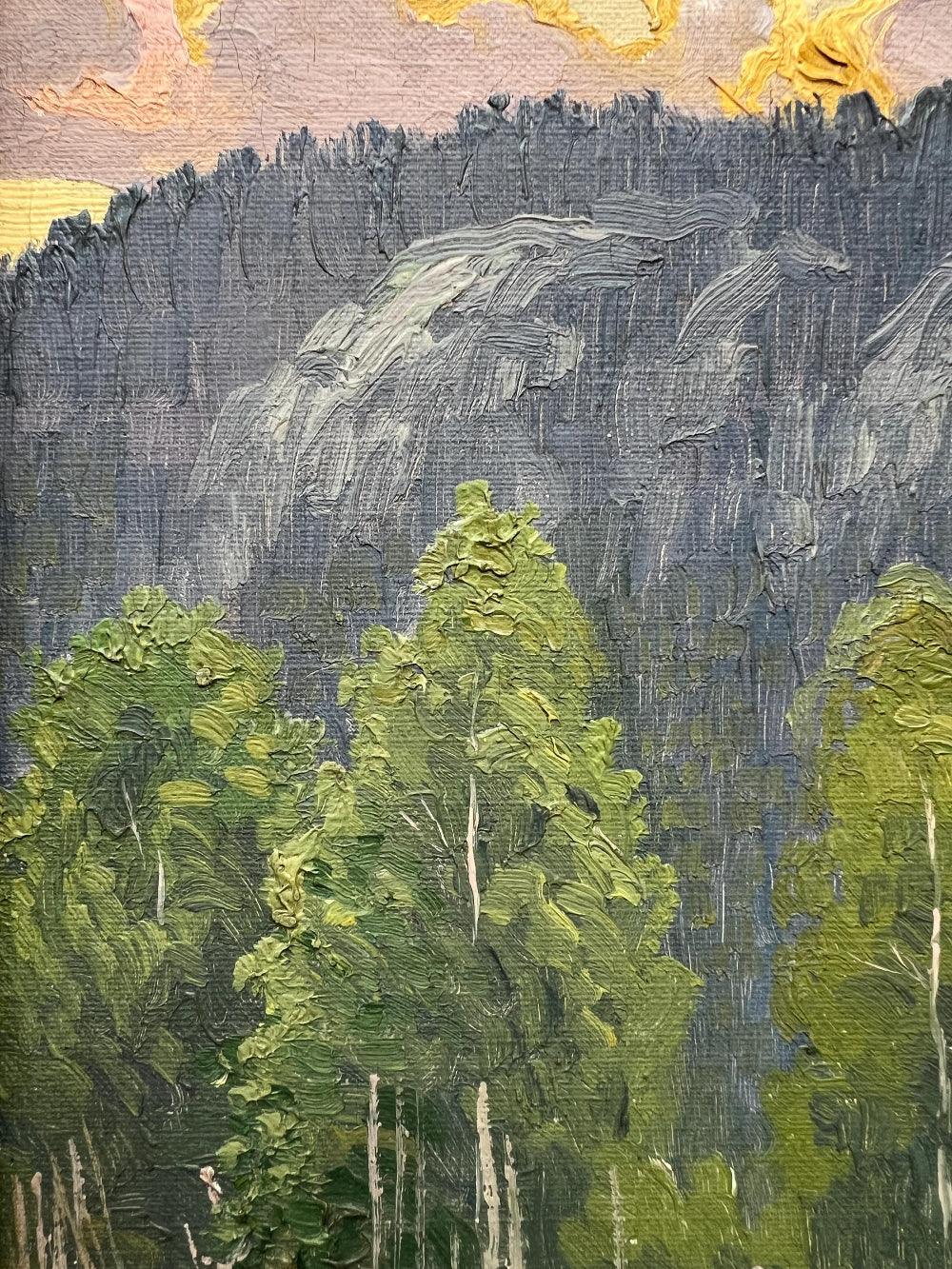 Framed, vintage, oil painting of a landscape with trees and mountains.