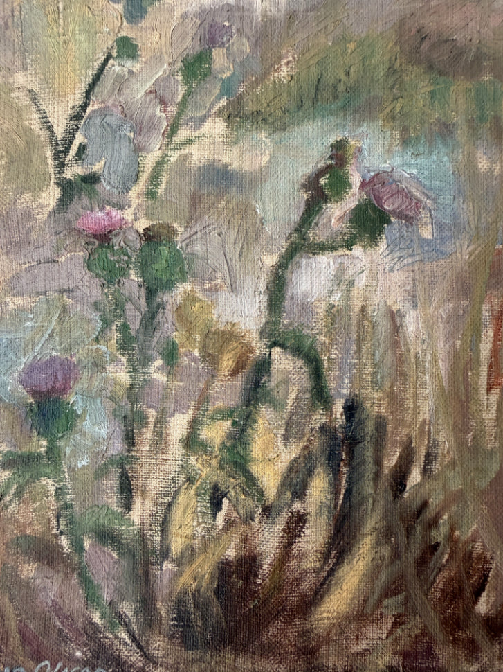 MEADOW THISTLES
