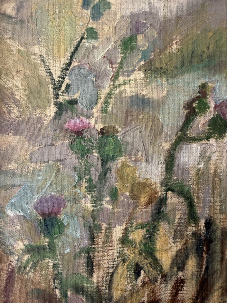 MEADOW THISTLES