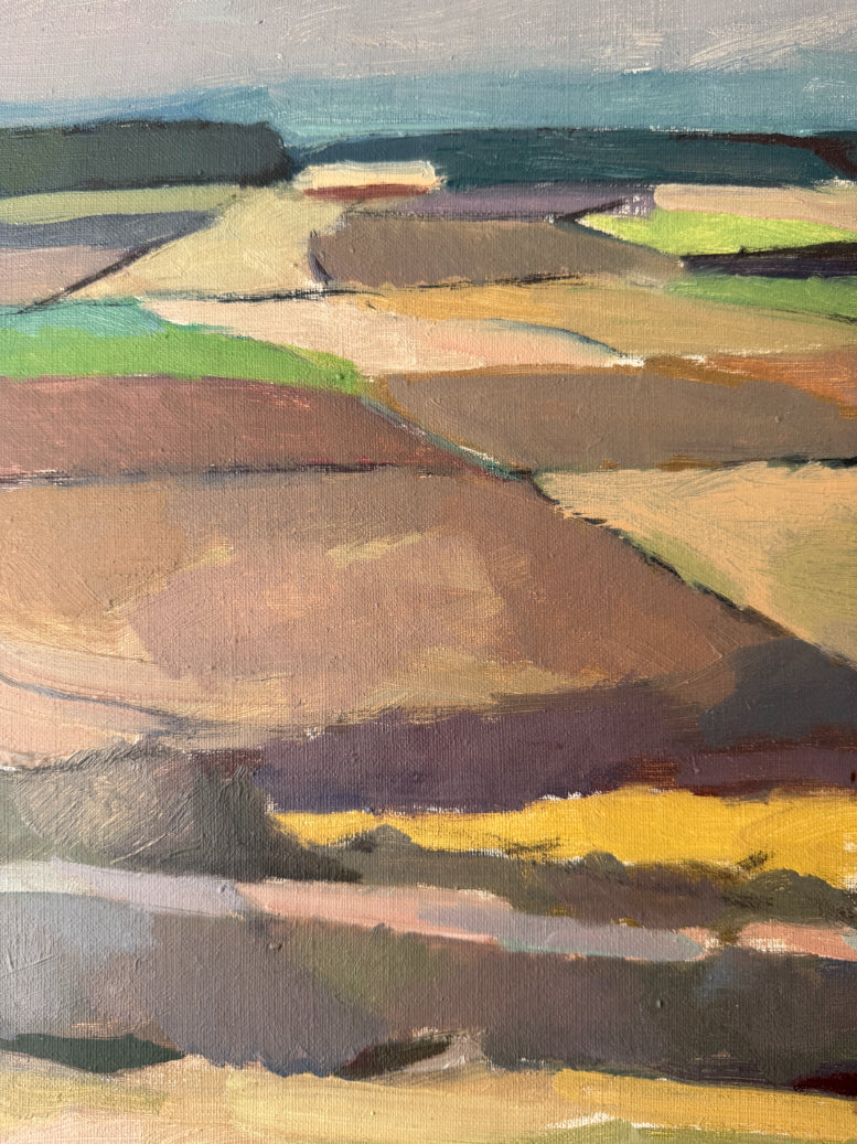 PATCHWORK FIELDS