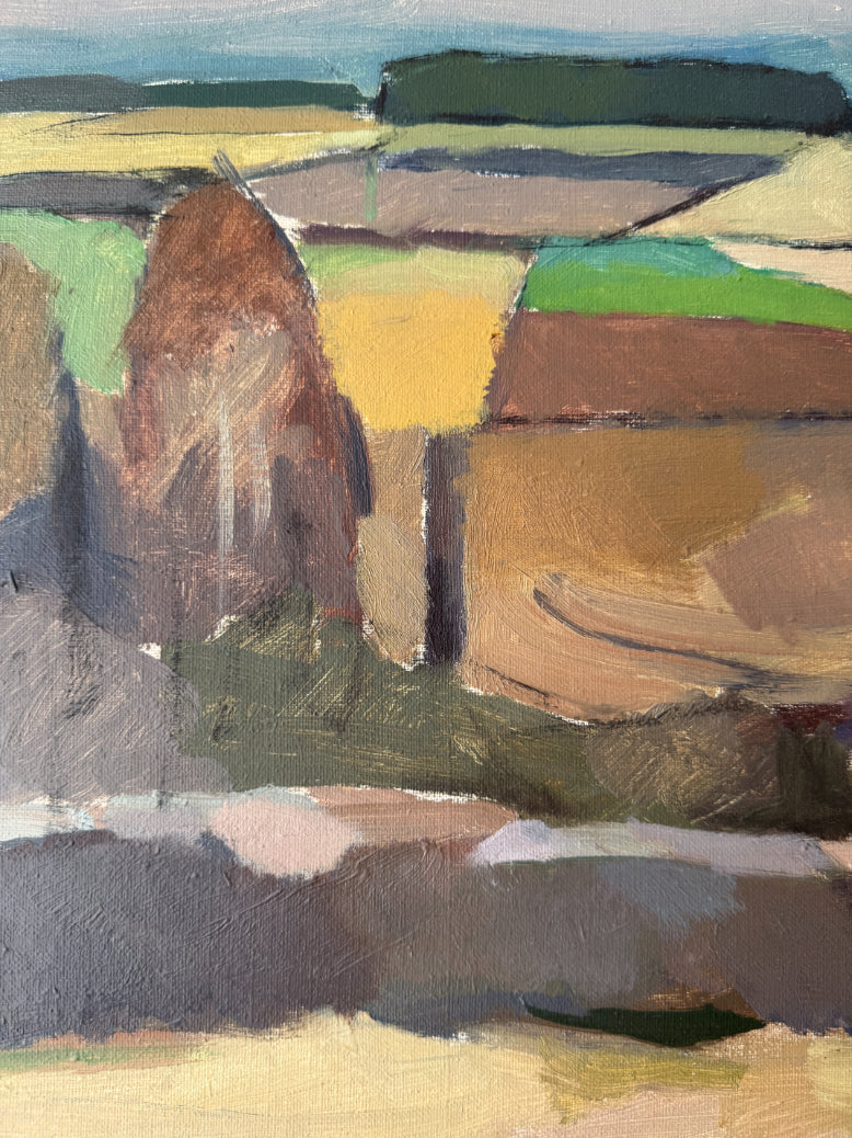 PATCHWORK FIELDS