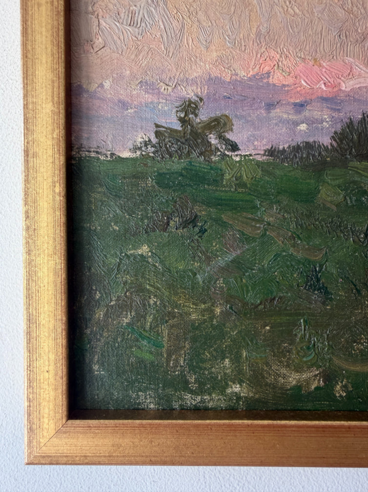 SUNSET FIELDS