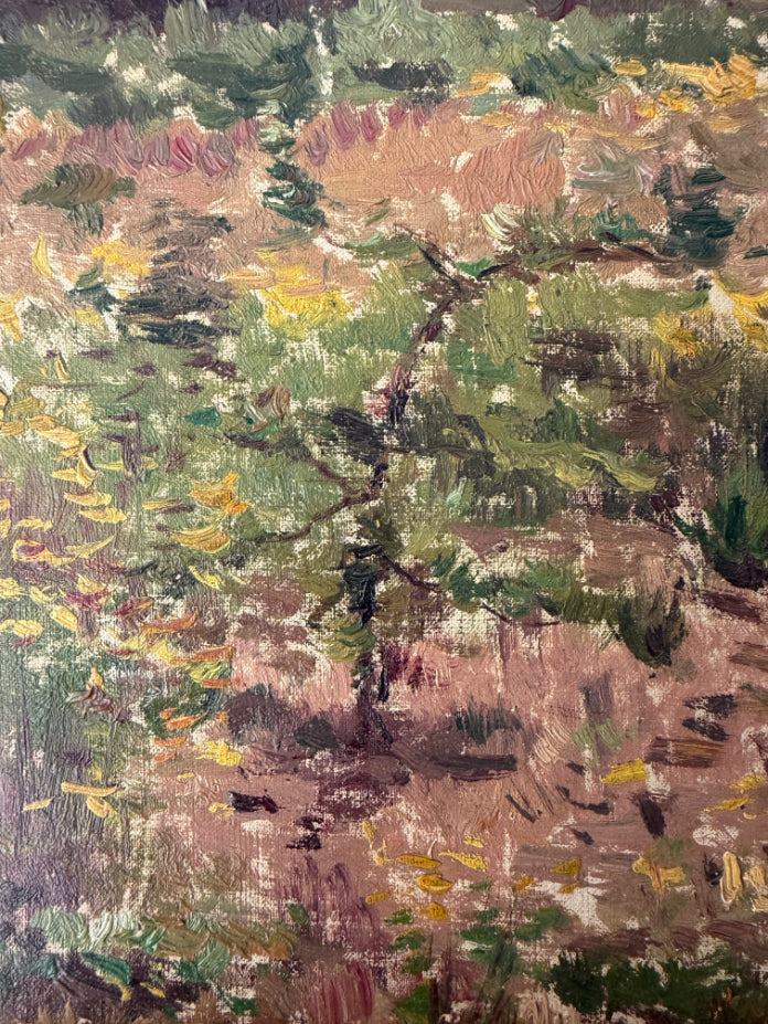 WILD VINES
