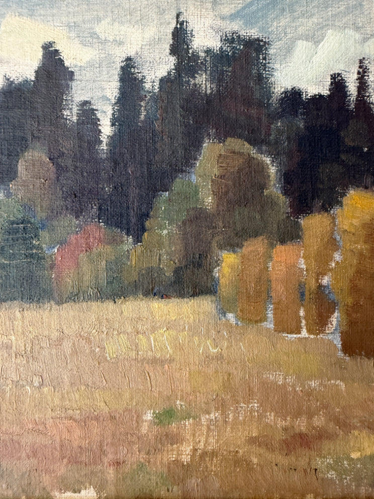 DARK PINES