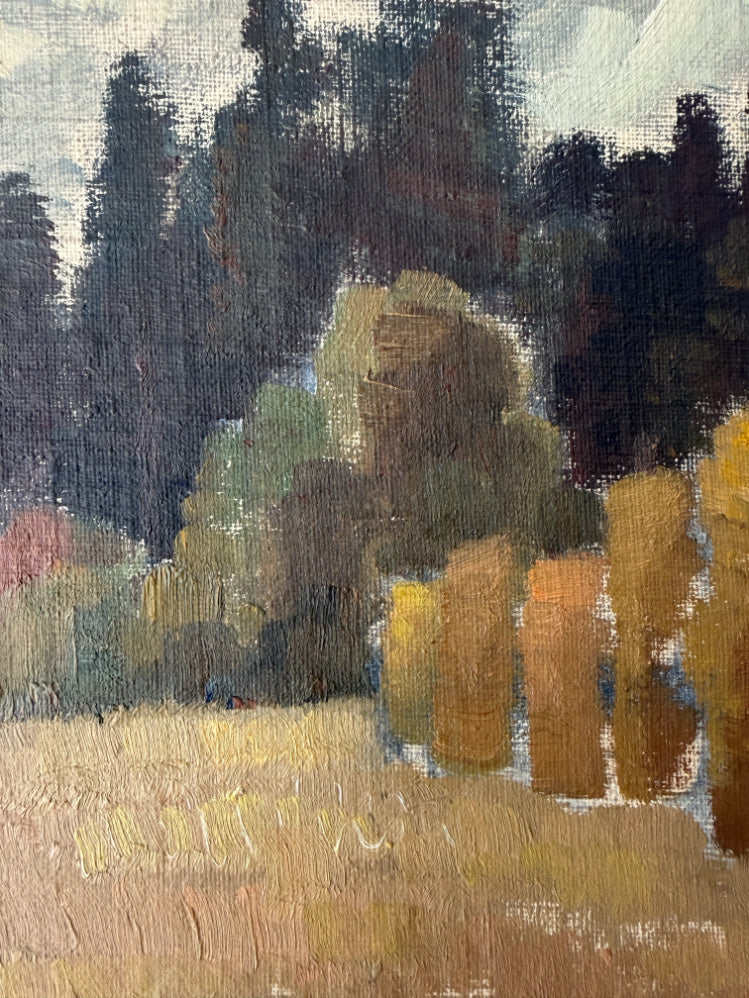 DARK PINES