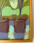 CABBAGE PLANTS