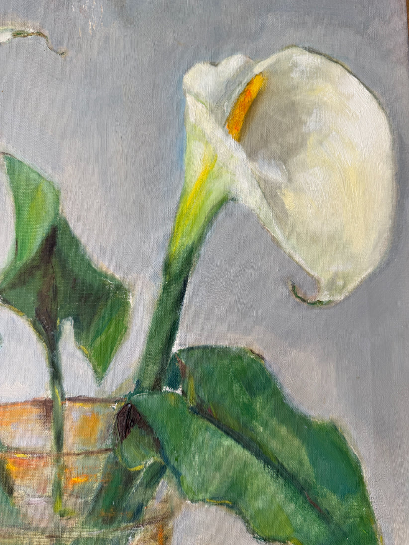 WHITE CALLA LILIES