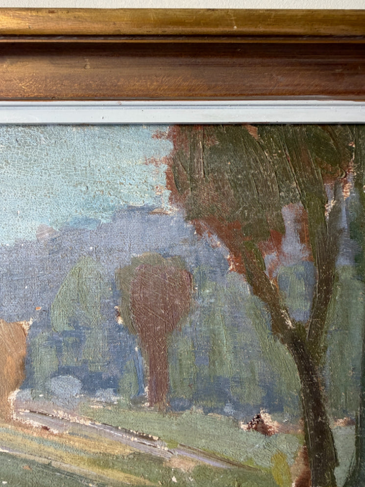 RURAL VIEW