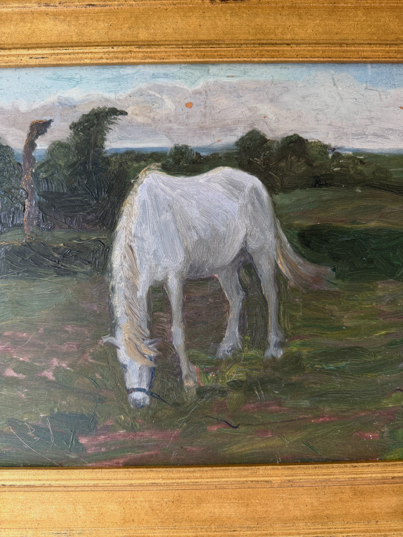 WHITE HORSE