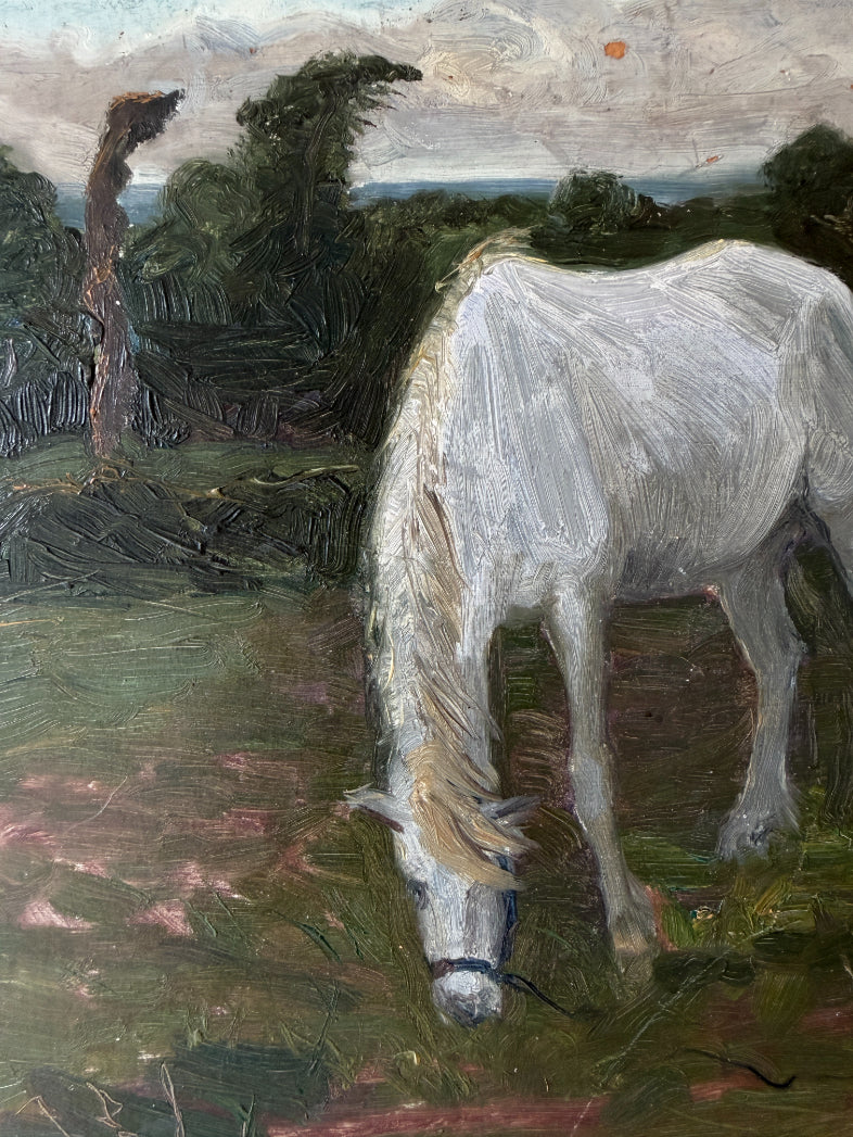WHITE HORSE