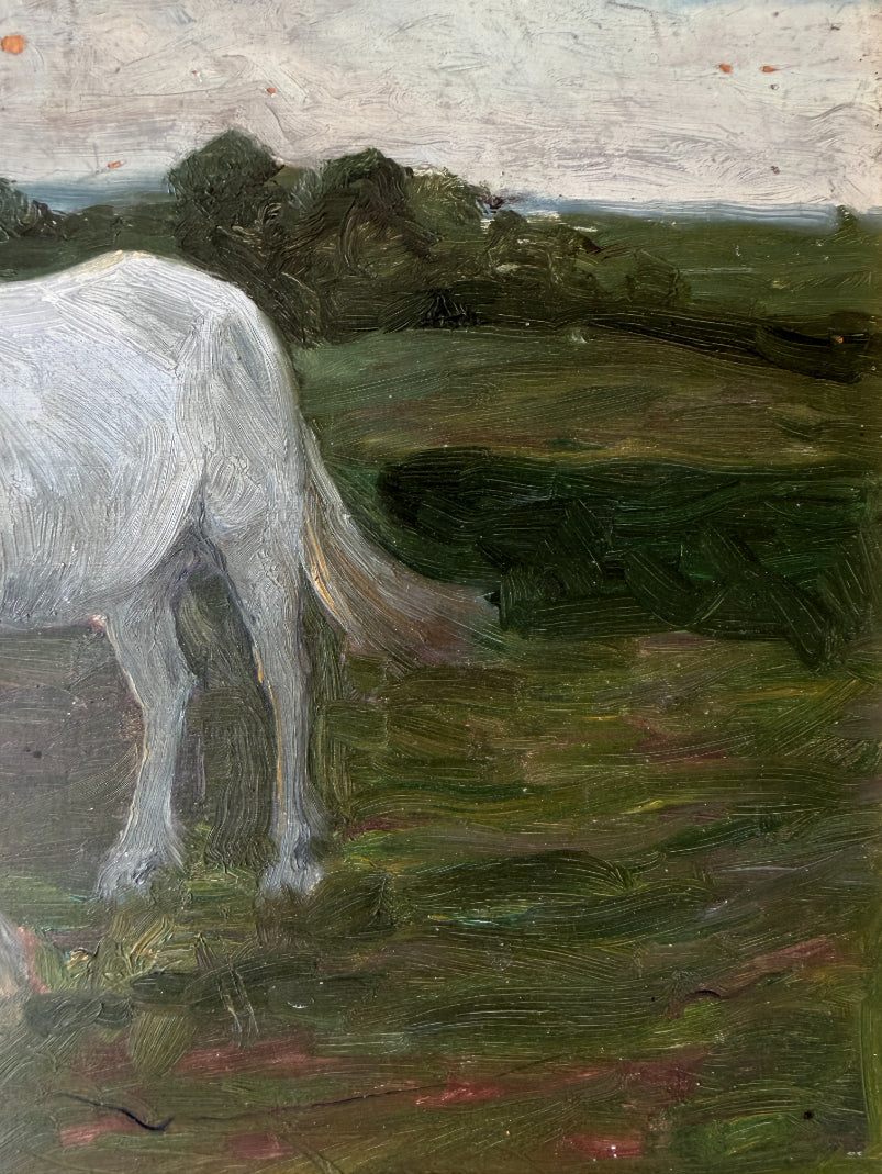 WHITE HORSE