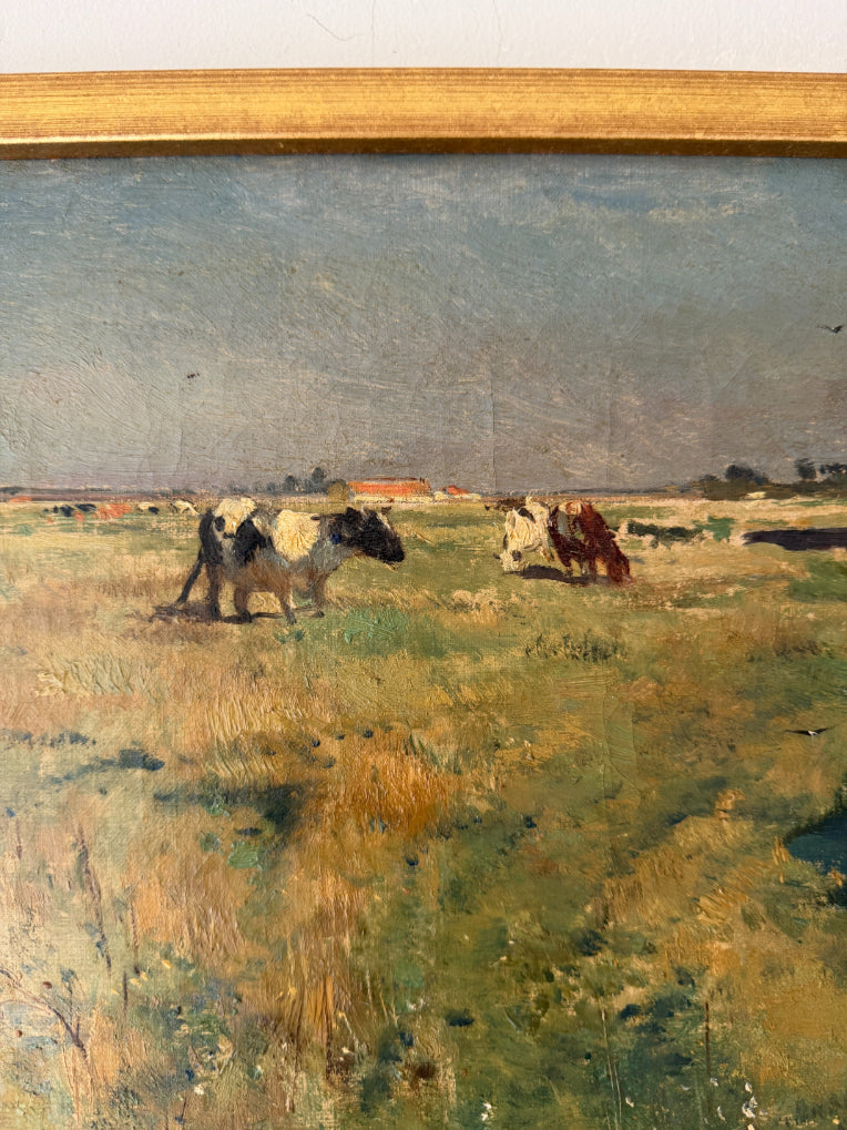MEADOW CATTLE