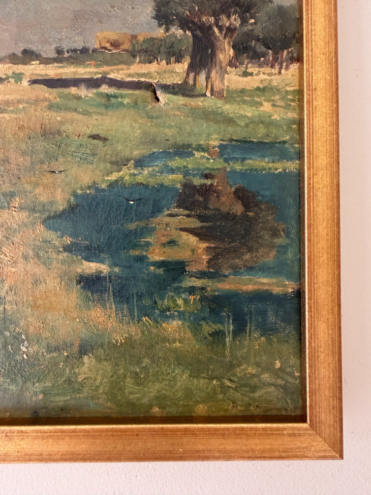 MEADOW CATTLE