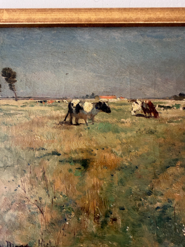 MEADOW CATTLE