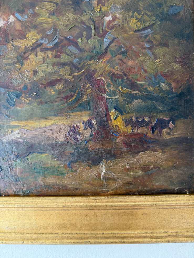 COWS UNDER SHADE