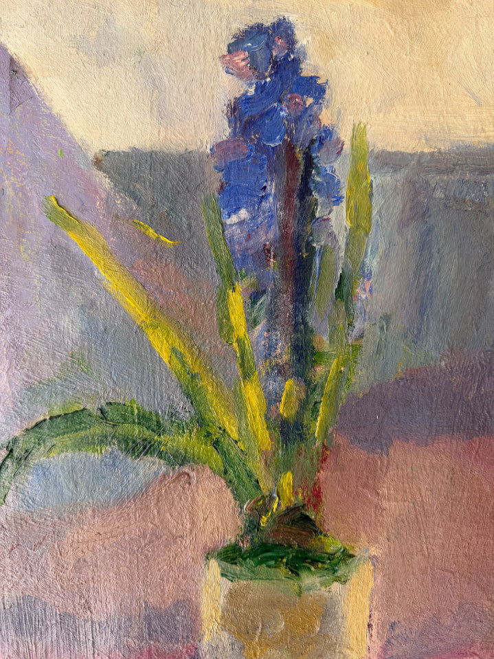 BLUE HYACINTH