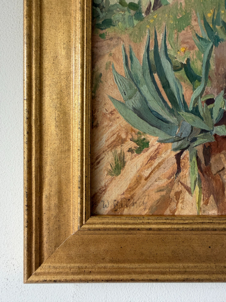 CACTI + AGAVES