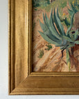 CACTI + AGAVES
