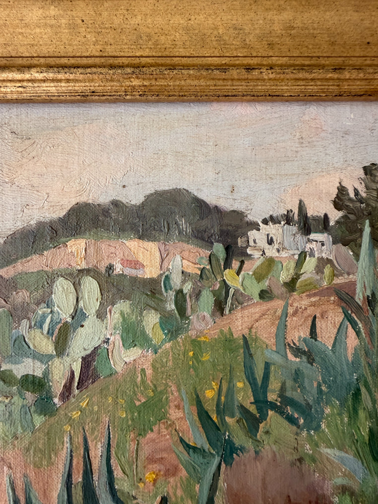 CACTI + AGAVES