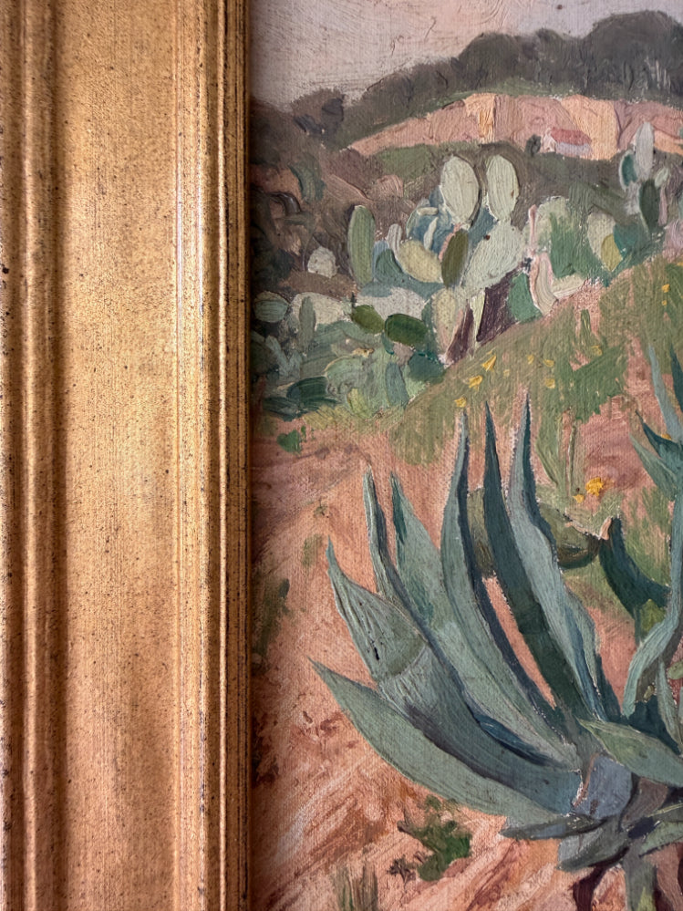CACTI + AGAVES