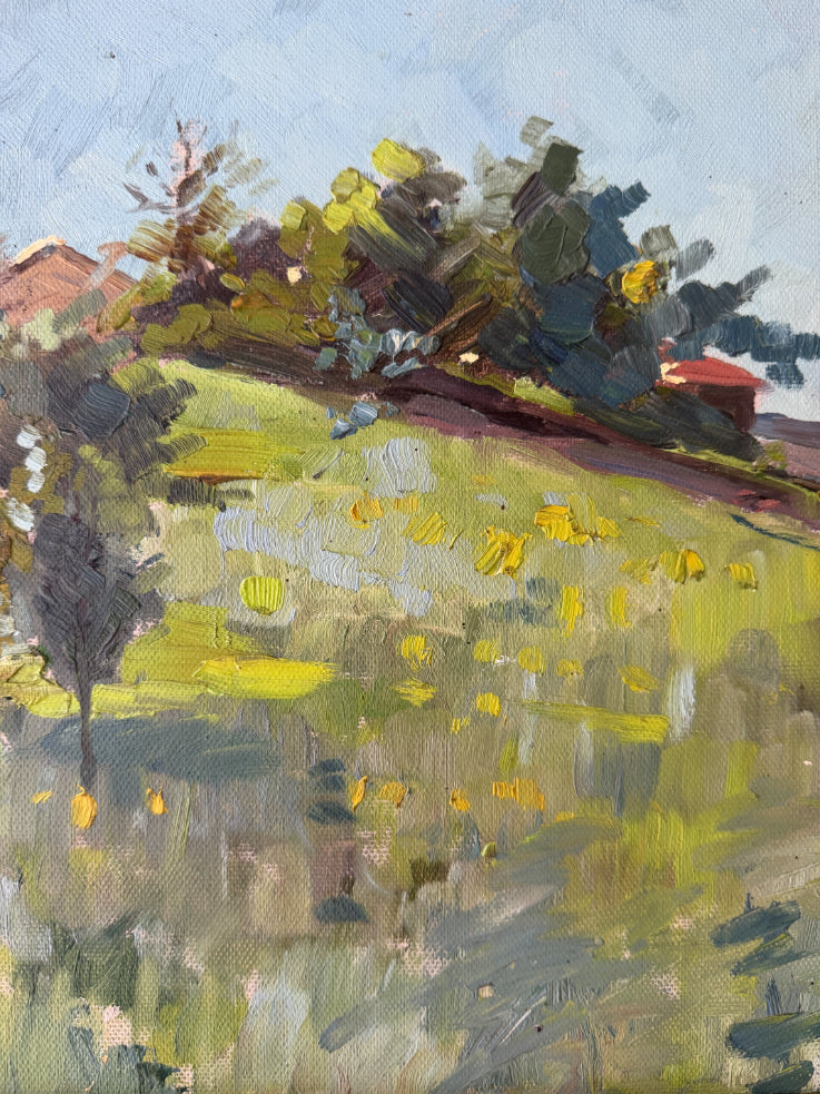 HILLSIDE LIGHT