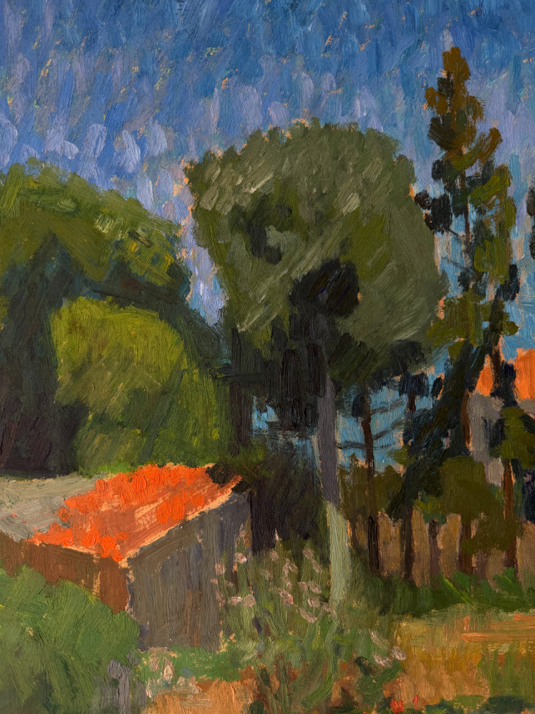 THE RED ROOFS