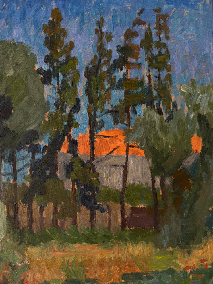 THE RED ROOFS