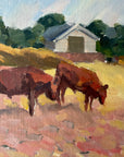 SUMMER GRAZING