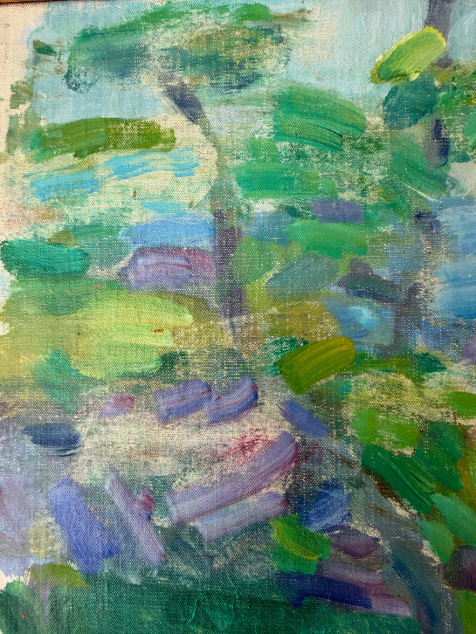 SUMMER CANOPY