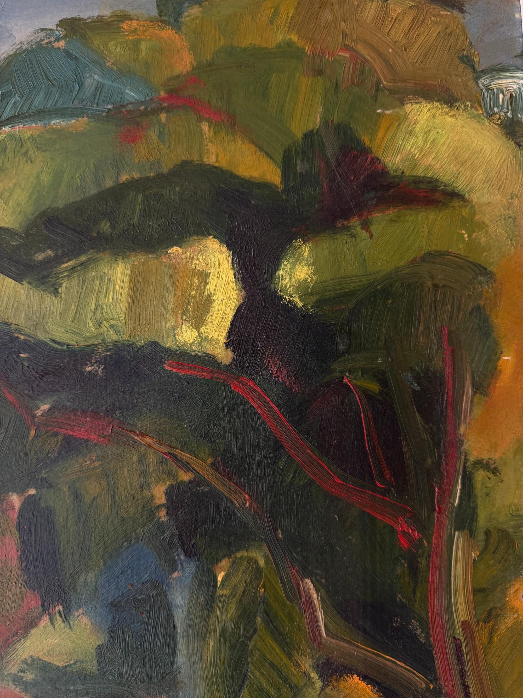 TROPICAL LANDSCAPE