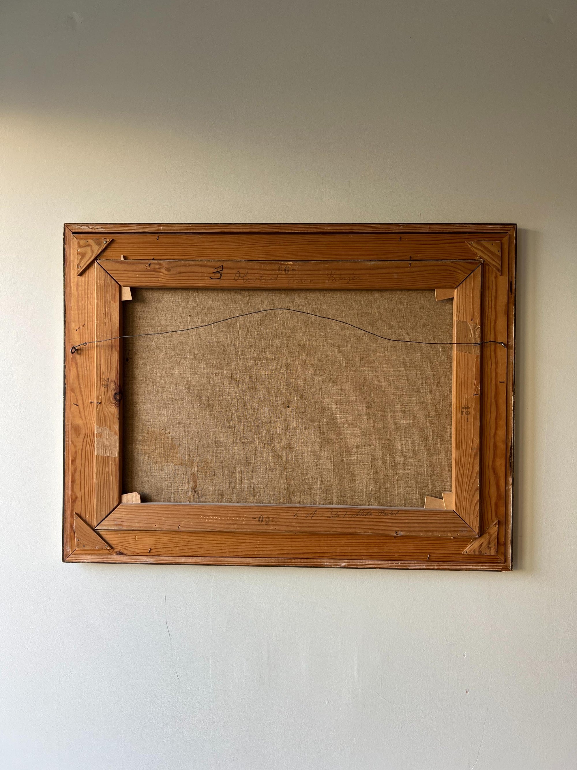 OLIVE &amp; PINE TREES