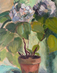 POTTED HYDRANGEA