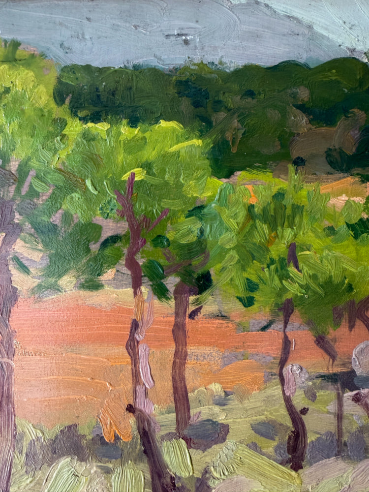SUNLIT GROVE
