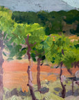 SUNLIT GROVE