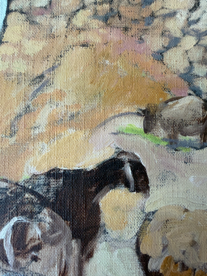 SHEPHERD'S REST