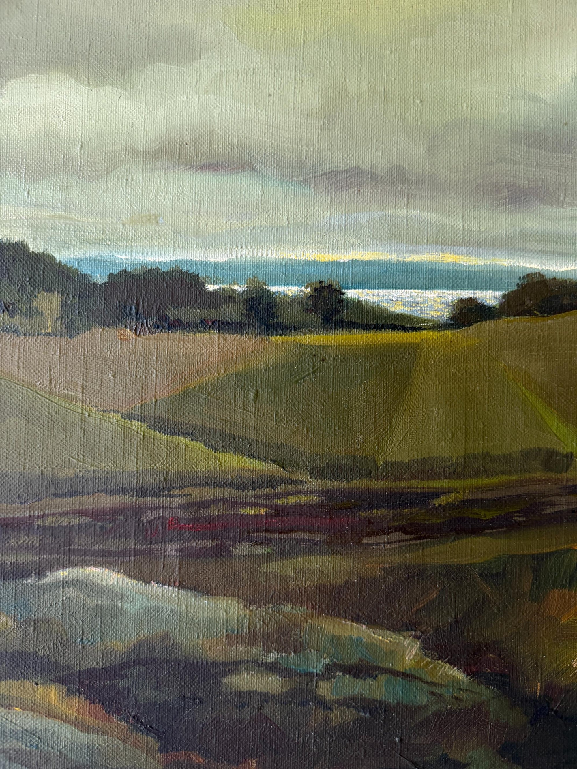 OPEN FIELDS