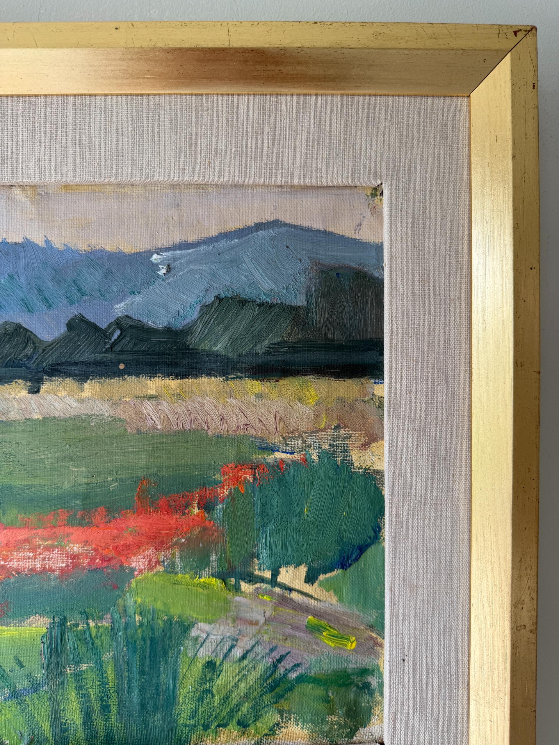 FIELDS + HILLS