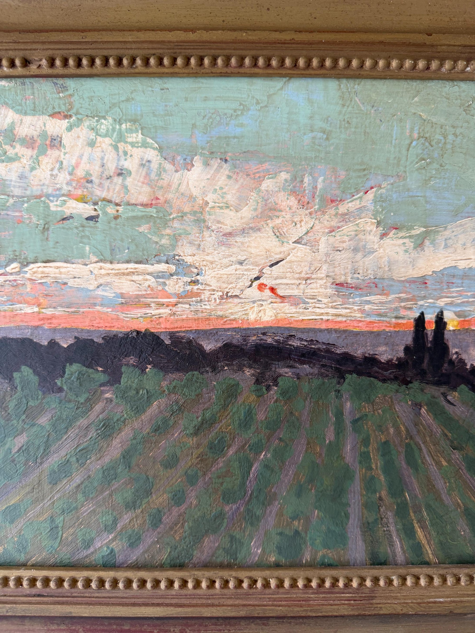 VINEYARD AT SUNSET