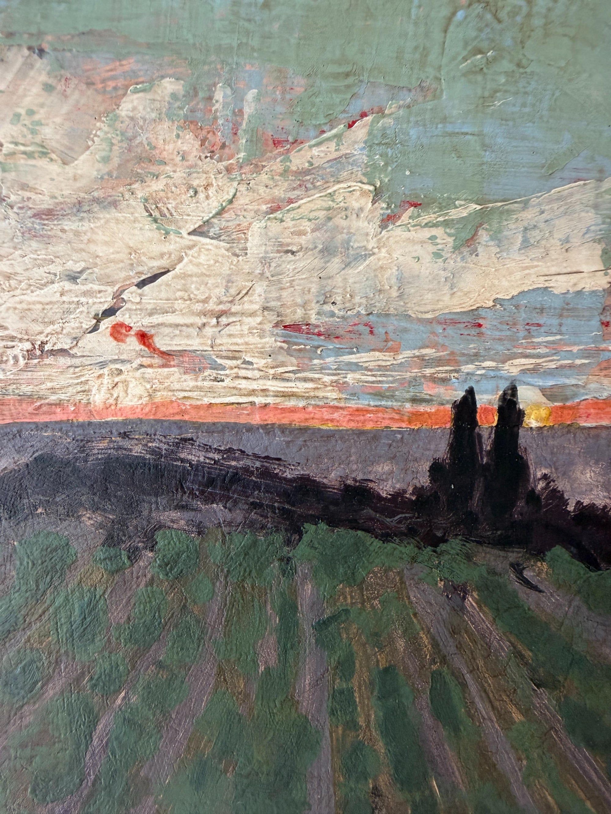VINEYARD AT SUNSET