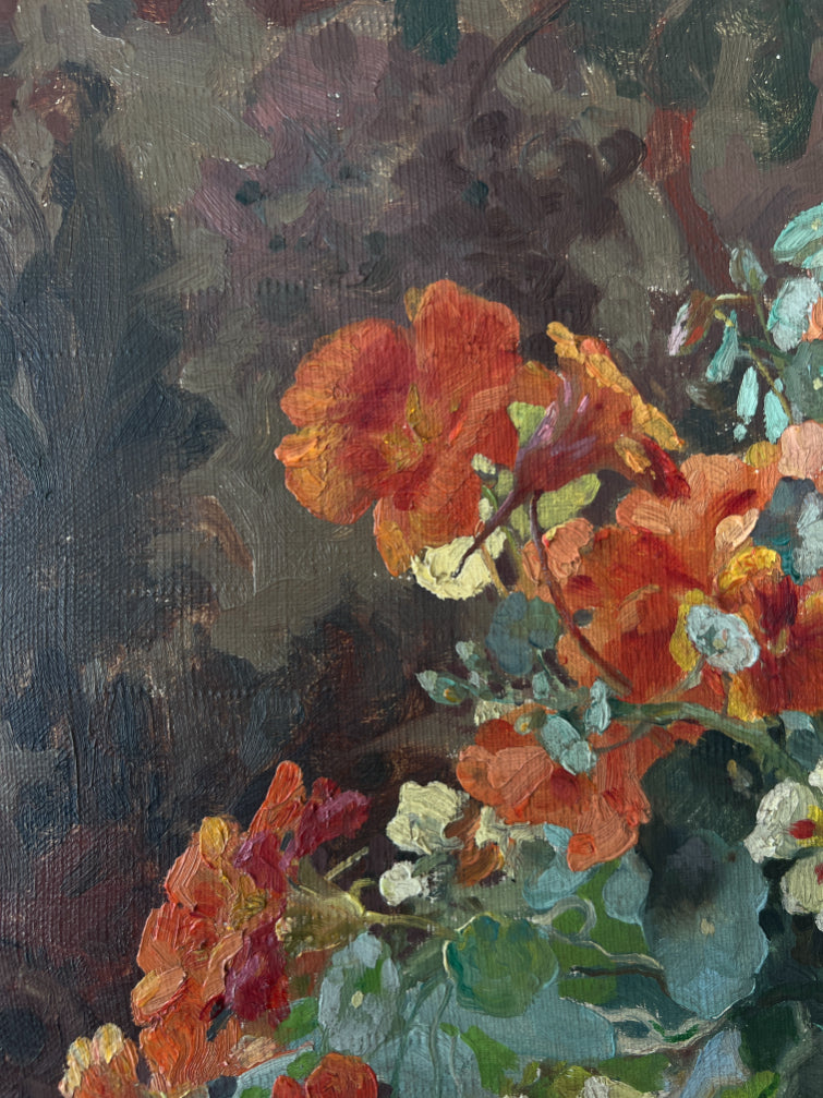 RED NASTURTIUMS