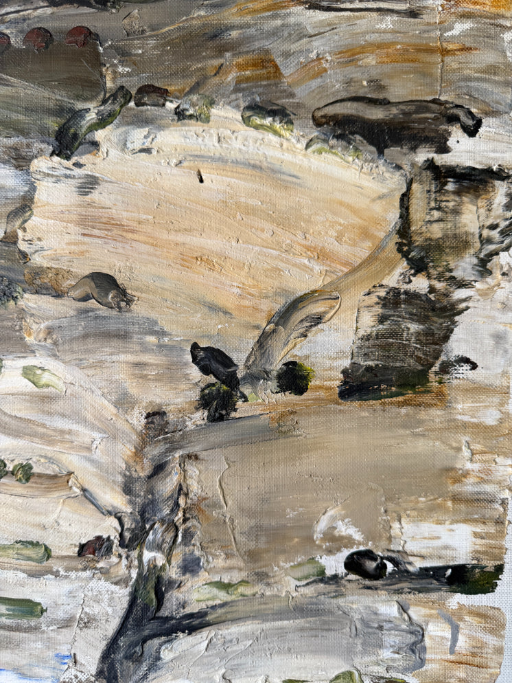 ROCKY SLOPE