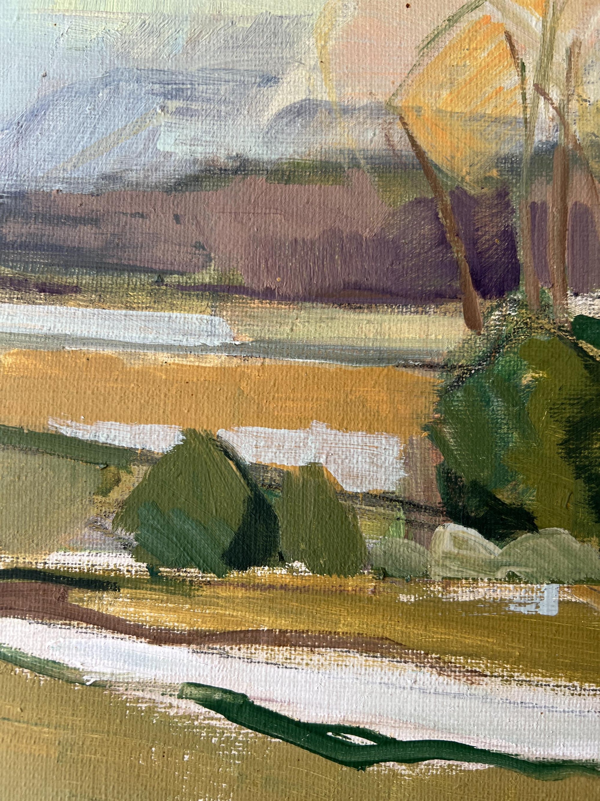 WINTER FIELDS
